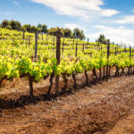 semnificația numelui Nume