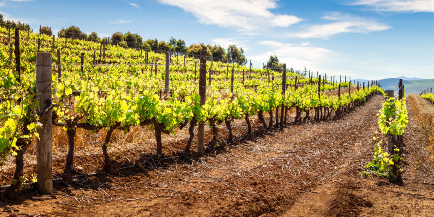 semnificația numelui